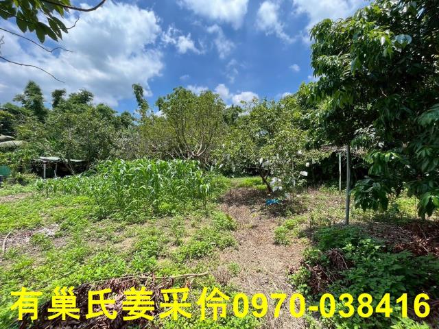 嘉義東區農地-2