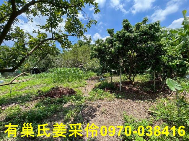 嘉義東區農地-3