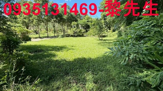 新竹關西農地-6