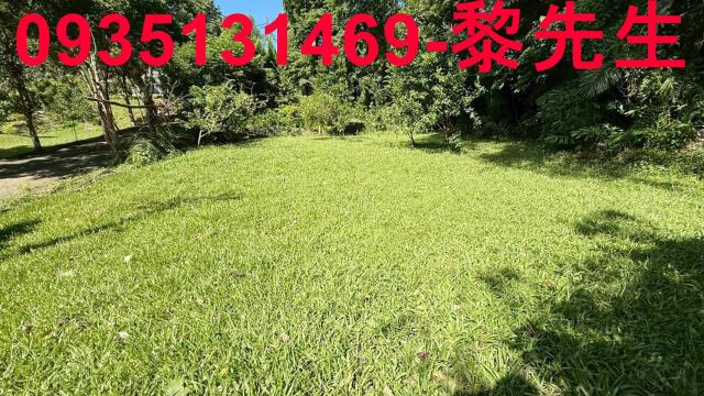 新竹關西農地-7