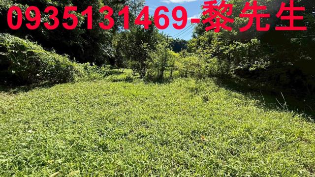 新竹關西農地-0