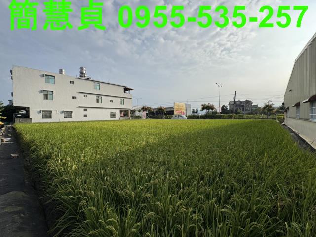 南投草屯農地-2