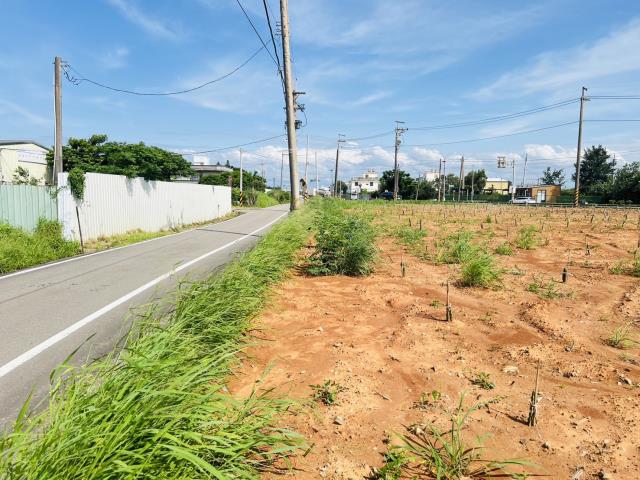 桃園觀音農地-0