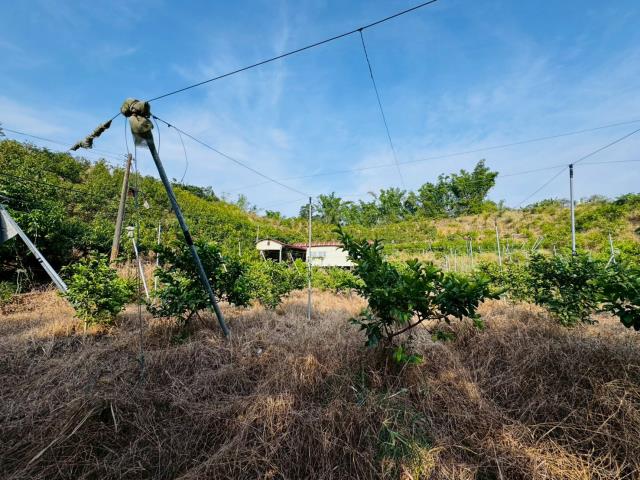 左鎮農地-2