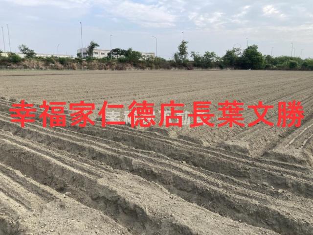 台南農地-3