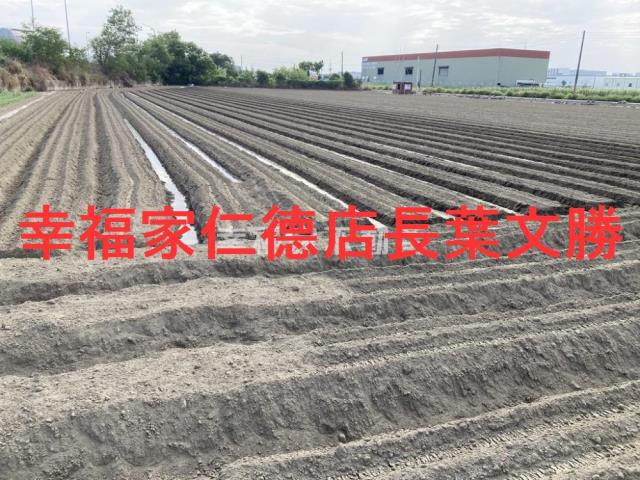 台南農地-7