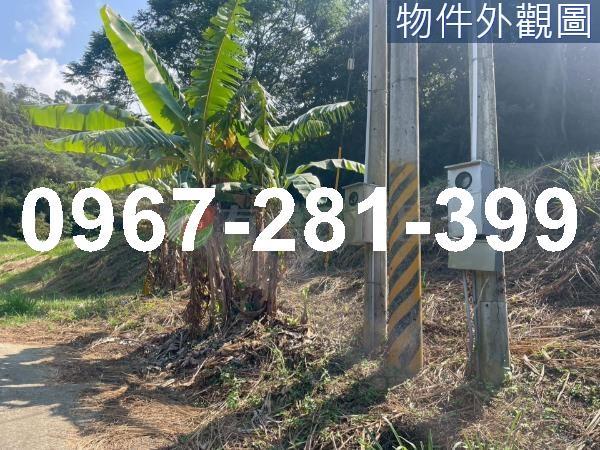 苗栗三灣農地-12