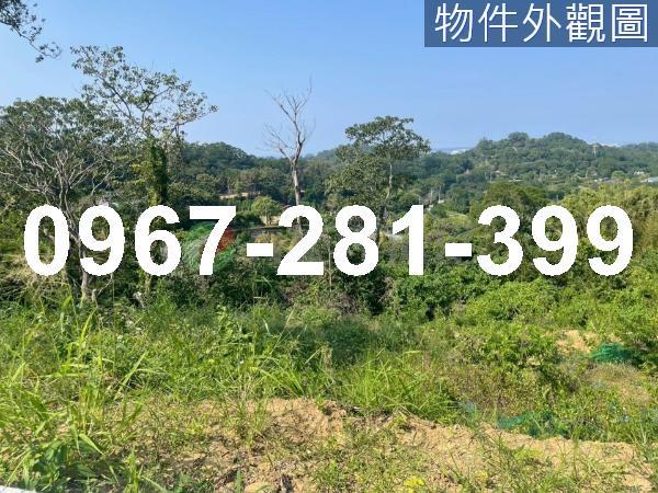 苗栗頭份農地-1