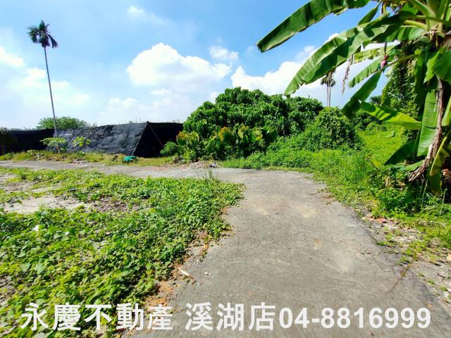 彰化永靖建地-4