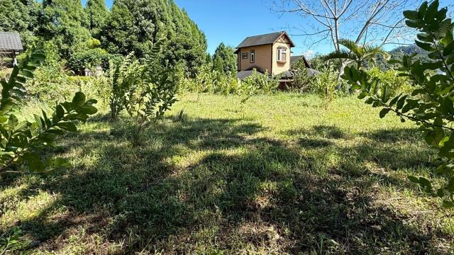 新竹橫山農地-4