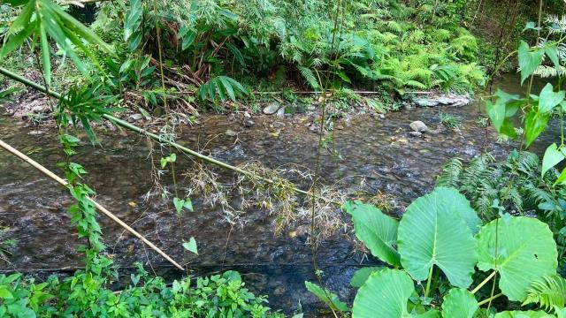 新竹竹東農地-6