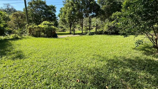 新竹關西農地-8