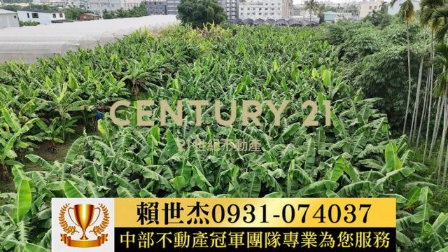 南投草屯農地-3