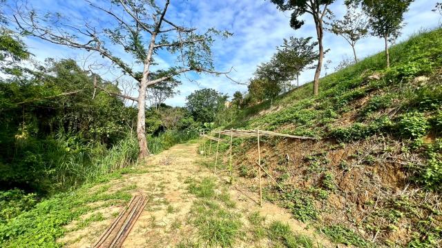 新竹竹東農地-11