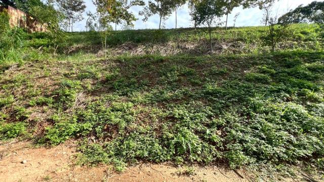 新竹竹東農地-12