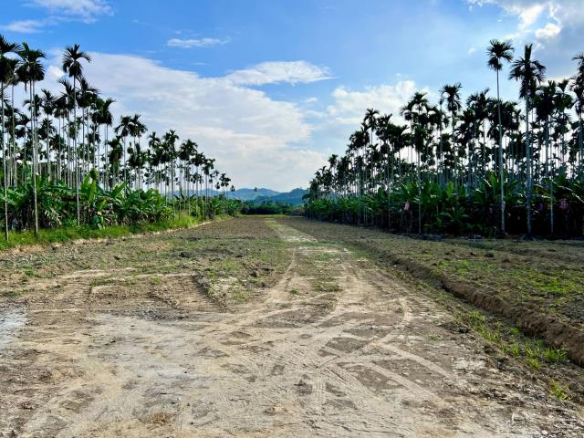 南投中寮農地-0