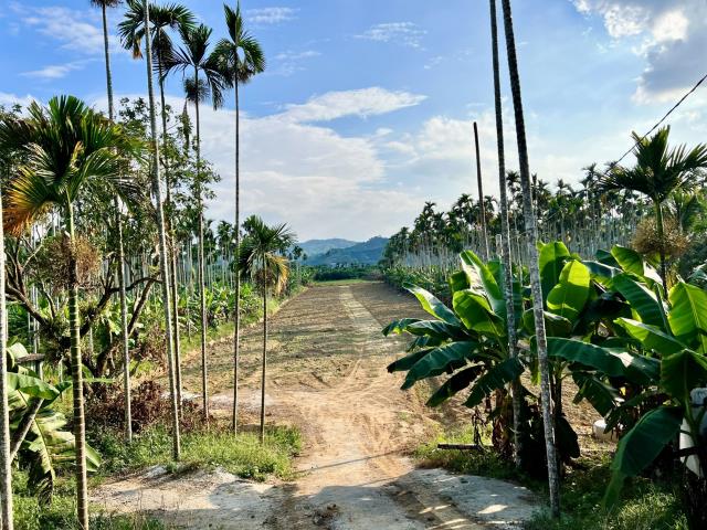 南投中寮農地-2