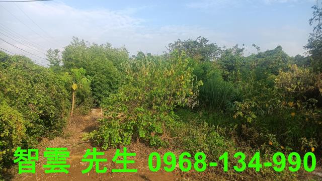 桃園觀音建地-1