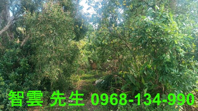 桃園觀音建地-2