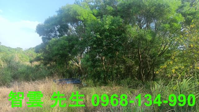 桃園觀音建地-1