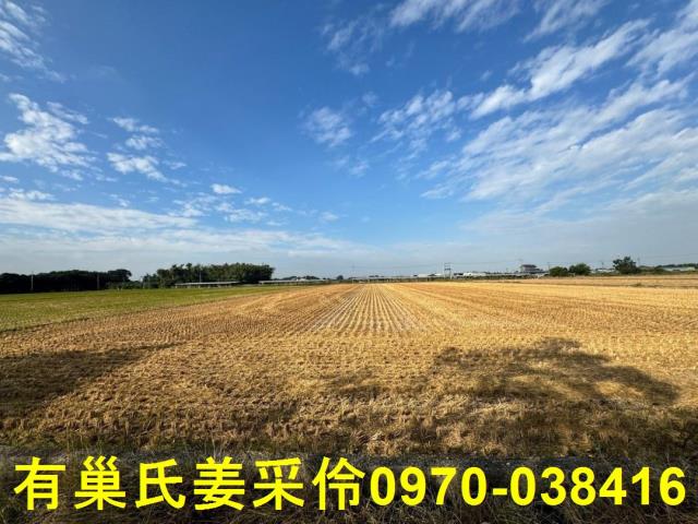 嘉義大林農地-9