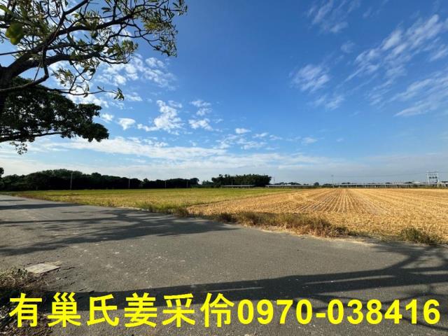 嘉義大林農地-10