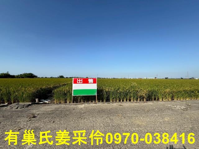 嘉義溪口農地-0