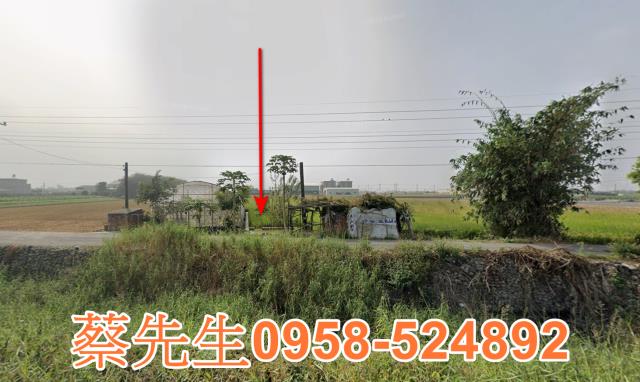 芳苑芳草路文津段農舍地興建農舍種植農作物