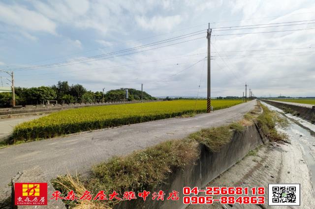 溪州農地-11