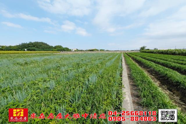 溪州農地-3