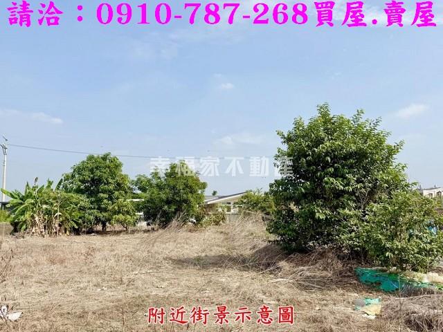 台南農地-6