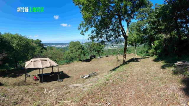 新竹農地-4