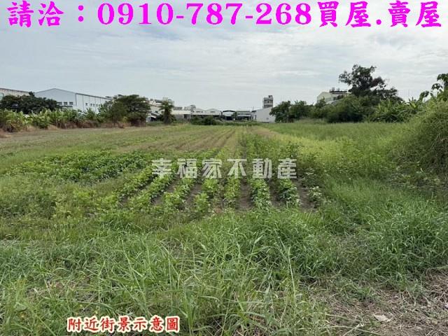 台南永康農地-4