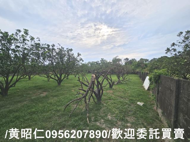 台南麻豆農地-3