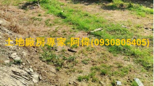 高雄岡山農地-0