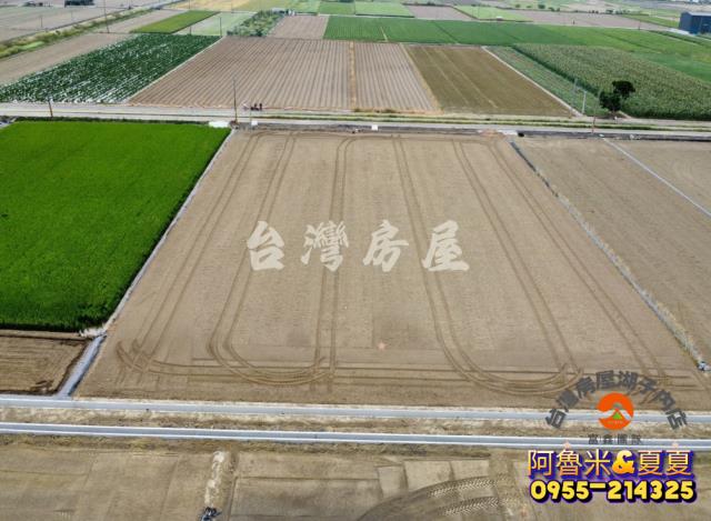 嘉義水上農地-4