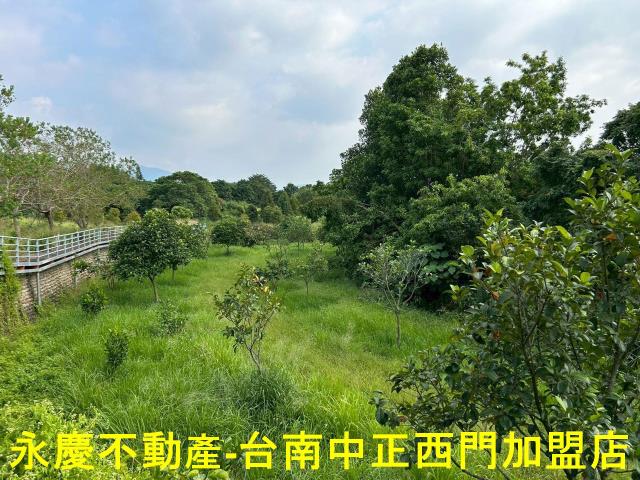 台南楠西農地-5