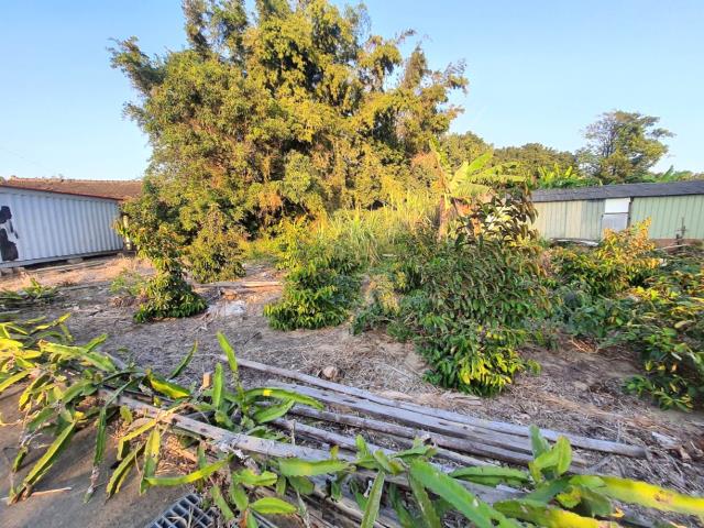 台南佳里農地-3