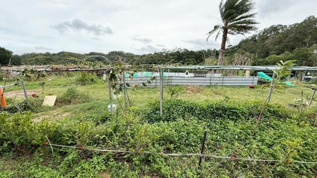 新竹寶山農地-12