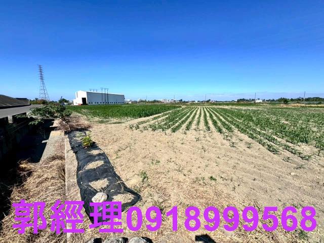學甲農地-10