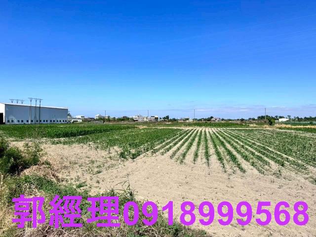 學甲農地-4