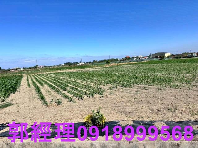 學甲農地-8
