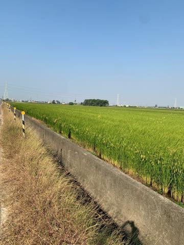 嘉義農地-5