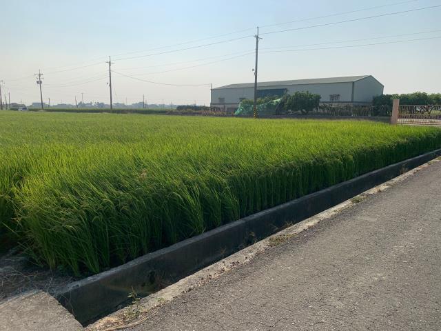 嘉義農地-6