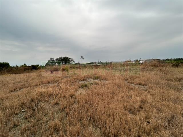 屏東里港農地-4