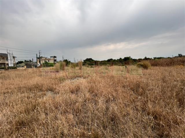 屏東里港農地-5