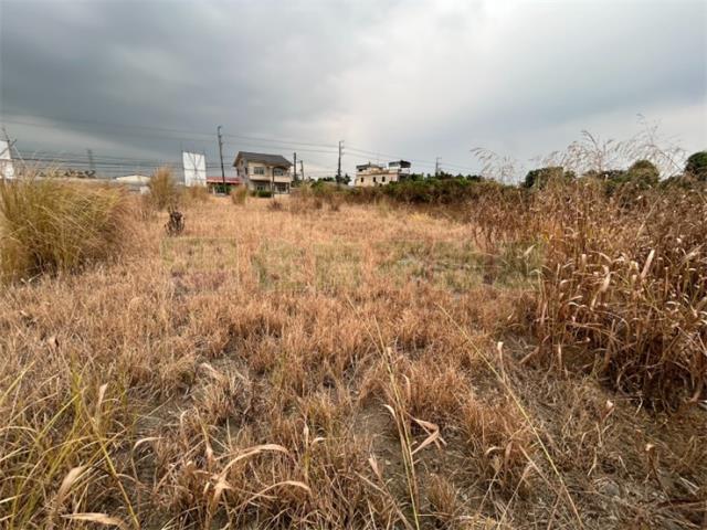 屏東里港農地-7