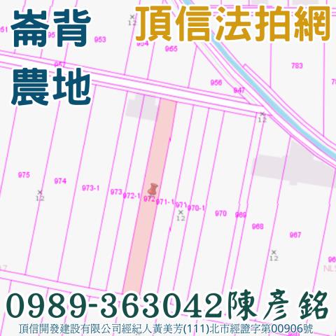 雲林崙背農地法拍-3