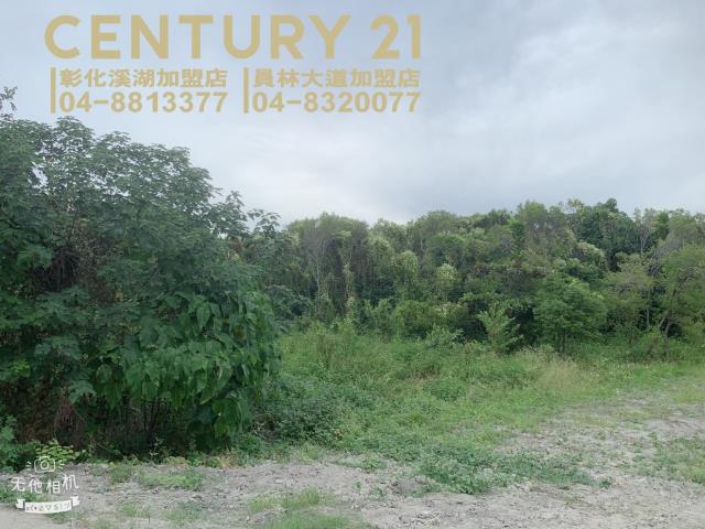 彰化溪湖農地-4