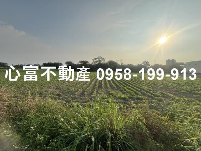 安定大坪數近國八雙面路農地